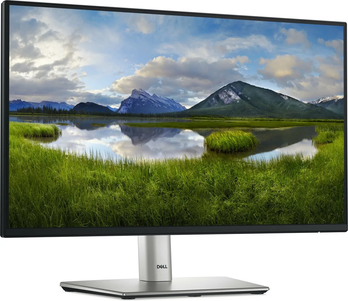 Dell P2225H Monitor 21,5" Full HD 100Hz
