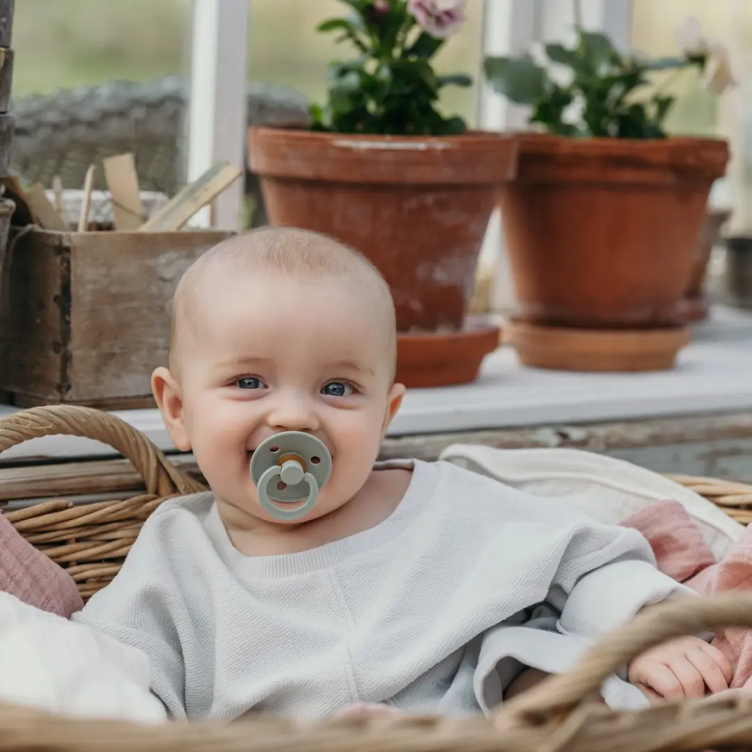 BIBS Colour Pacifier Stage 1 - 2 Stuks - Sage/Grijs
