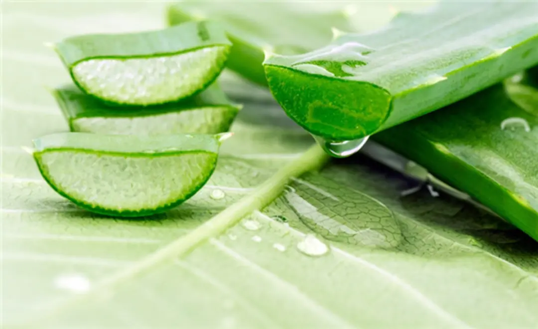 Urtekram Deoroller Aloe Vera Biologisch 50ml