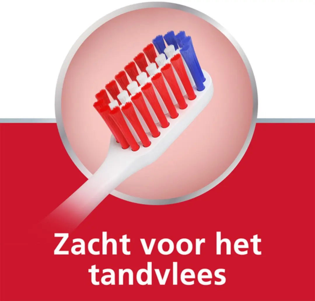 Parodontax Tandborstel Dagelijkse Reiniging - 12 Stuks - Multicolor