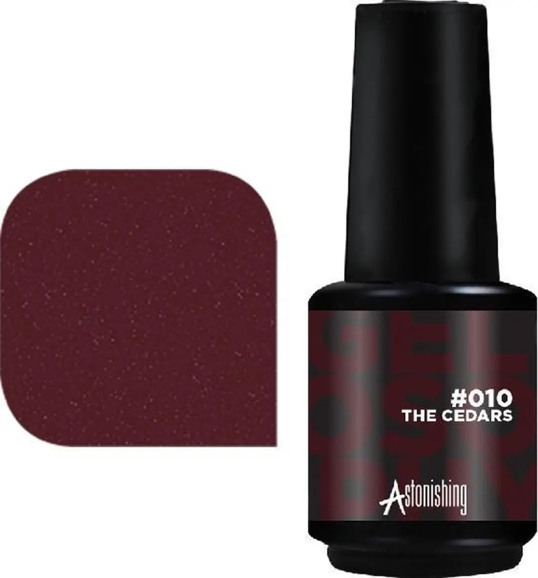 Astonishing #010 The Cedars Oogschaduw 15ml - Zwart