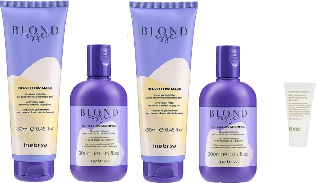 Inebrya Blondesse No-Yellow Shampoo & Mask Set