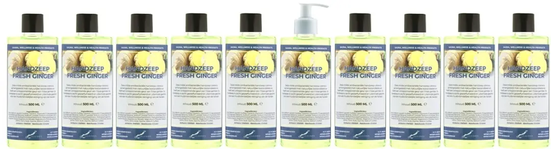 Splashbox Cosmetics Handzeep Fresh Ginger 500ml