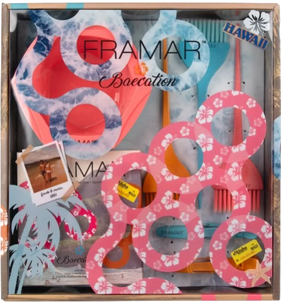 Framar Colorist Kit Beacation