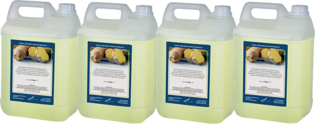 Splashbox Cosmetics Handzeep Fresh Ginger 5L