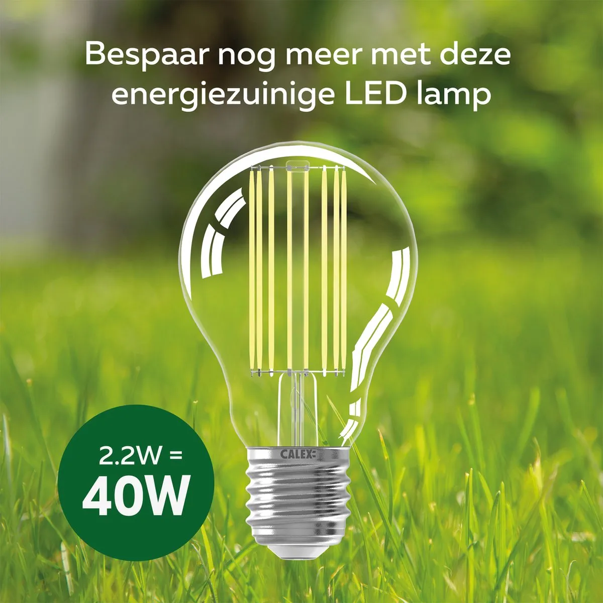 Calex LED Lamp A60 Filament E27 2.5W Warm Wit - 5 Stuks
