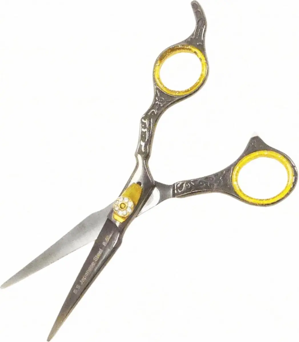 Guardian Beauty Scharenset 6,5 Inch - Roestvrij Staal - Rechtshandig