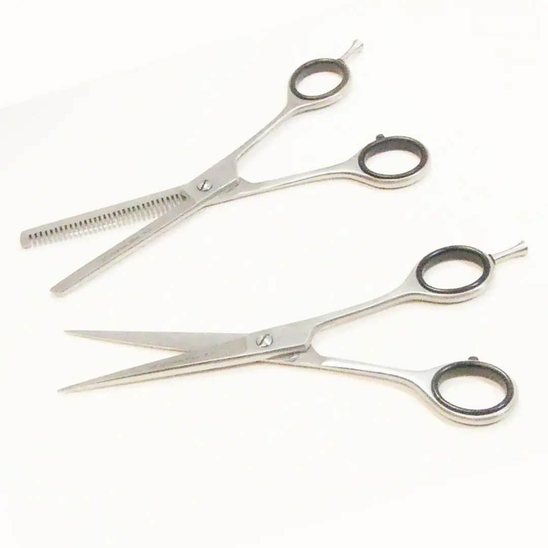 Guardian Beauty Scharenset 6,5 Inch - Roestvrij Staal - Rechtshandig