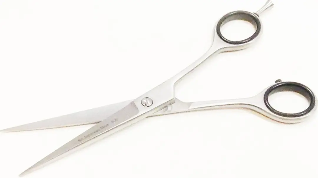 Guardian Beauty Scharenset 6,5 Inch - Roestvrij Staal - Rechtshandig