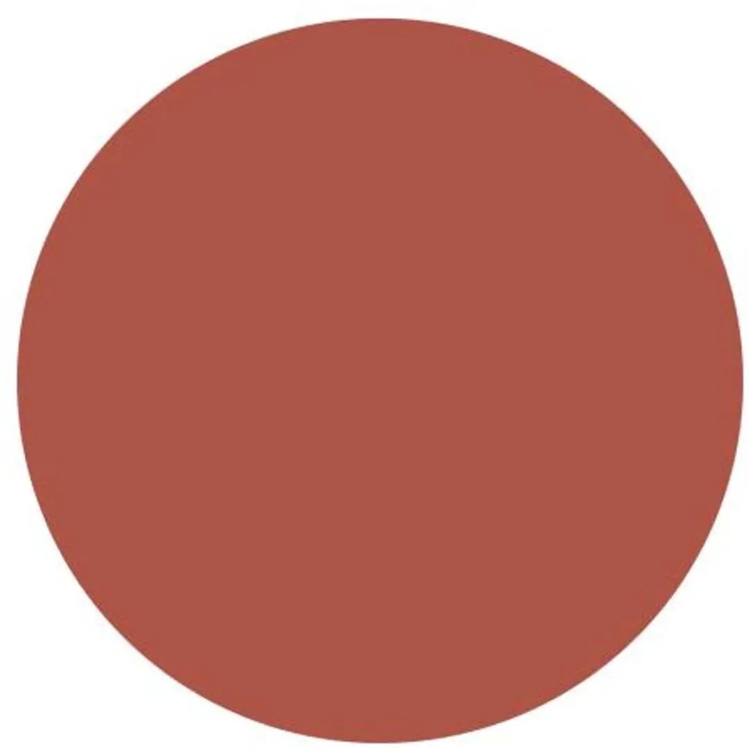 BeMineral Lipstick Jumbo Pencil DUSTY ROSE - 5g