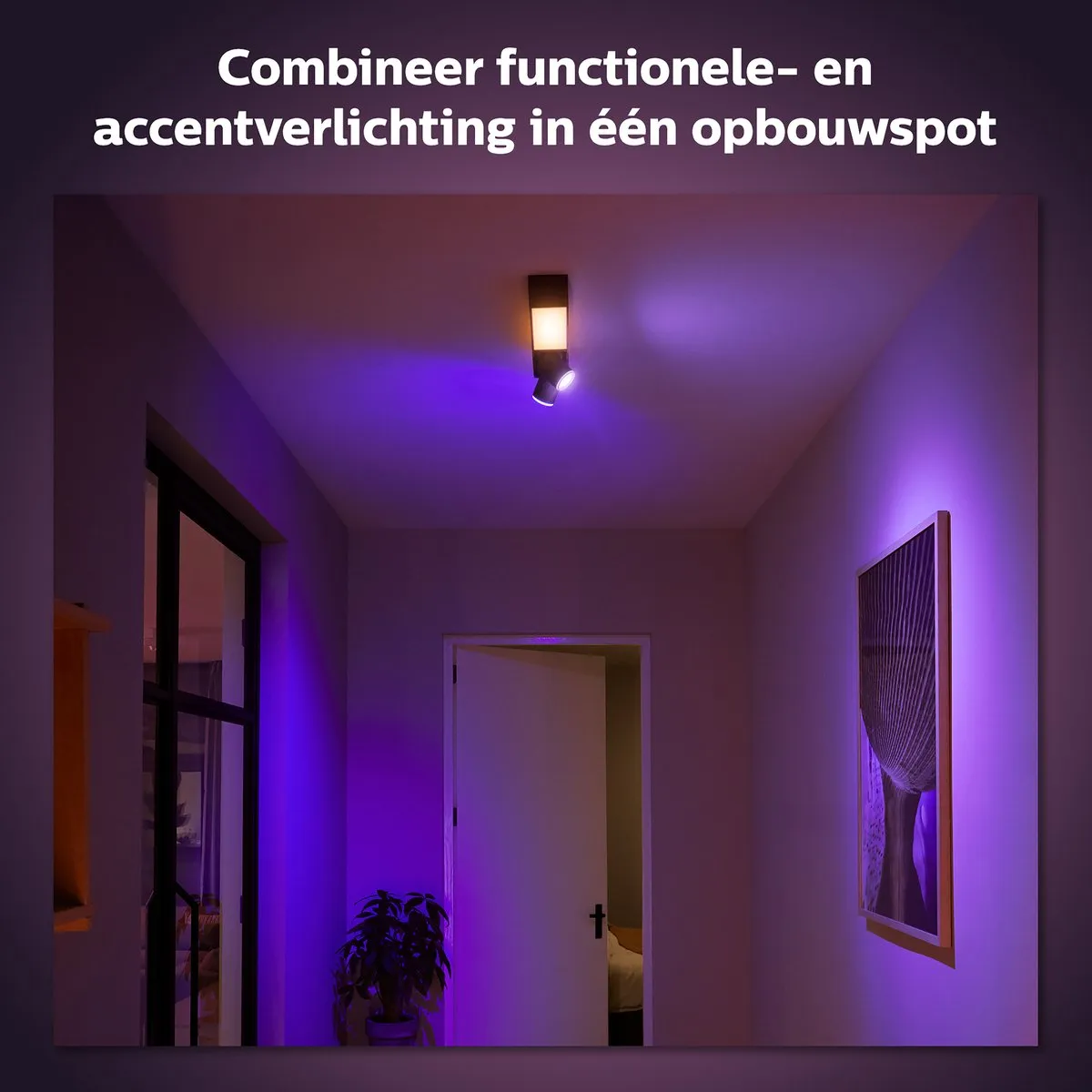 Philips Hue Centris Opbouwspot 2-spots - Zwart