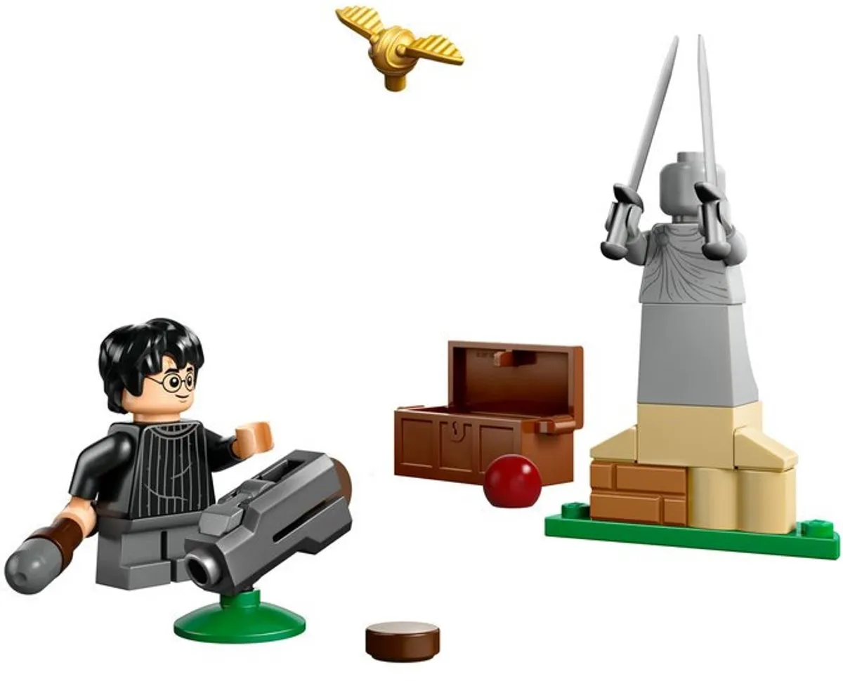 LEGO Harry Potter 30706 Zwerkbal Les