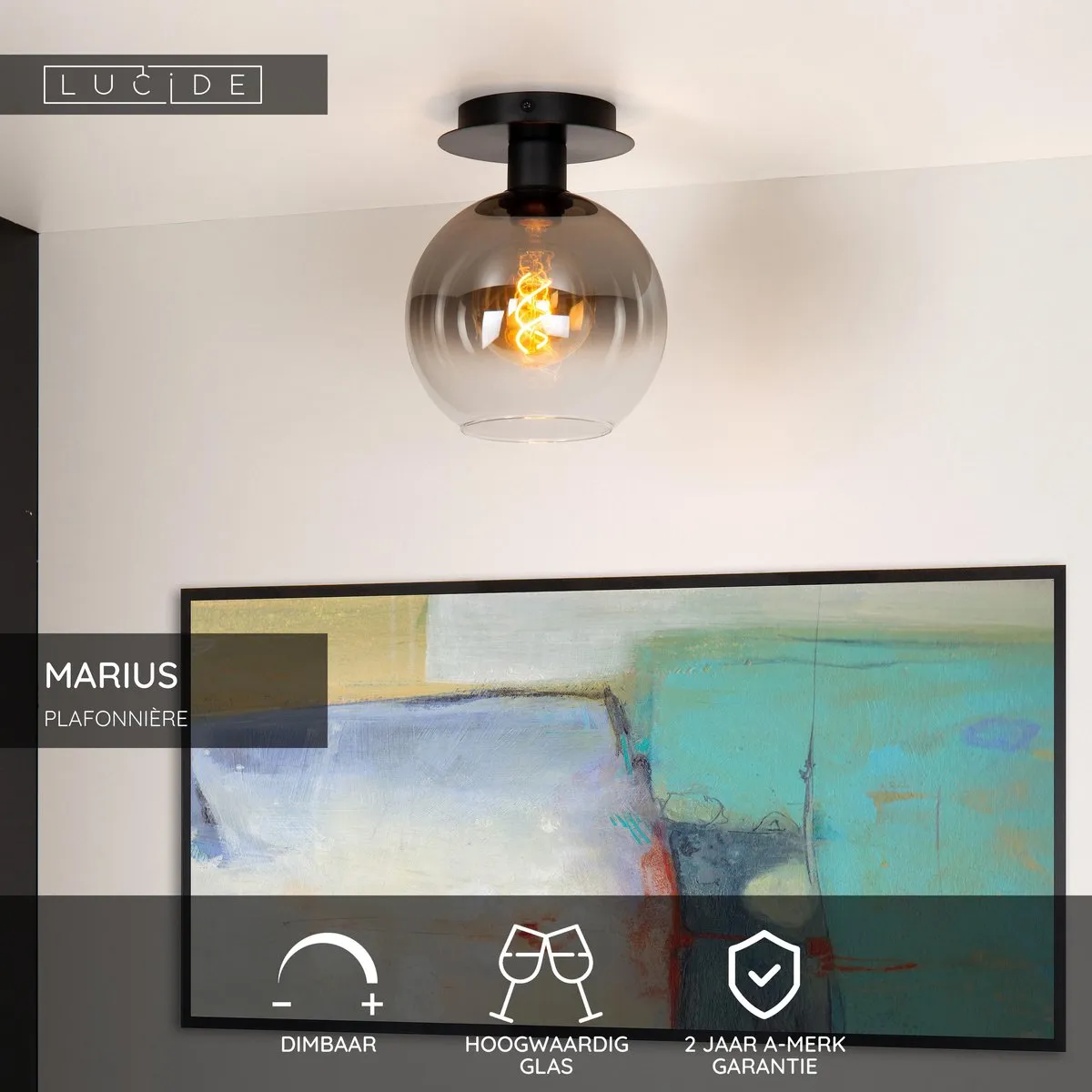 Lucide Marius Plafondlamp E27 - Zwart