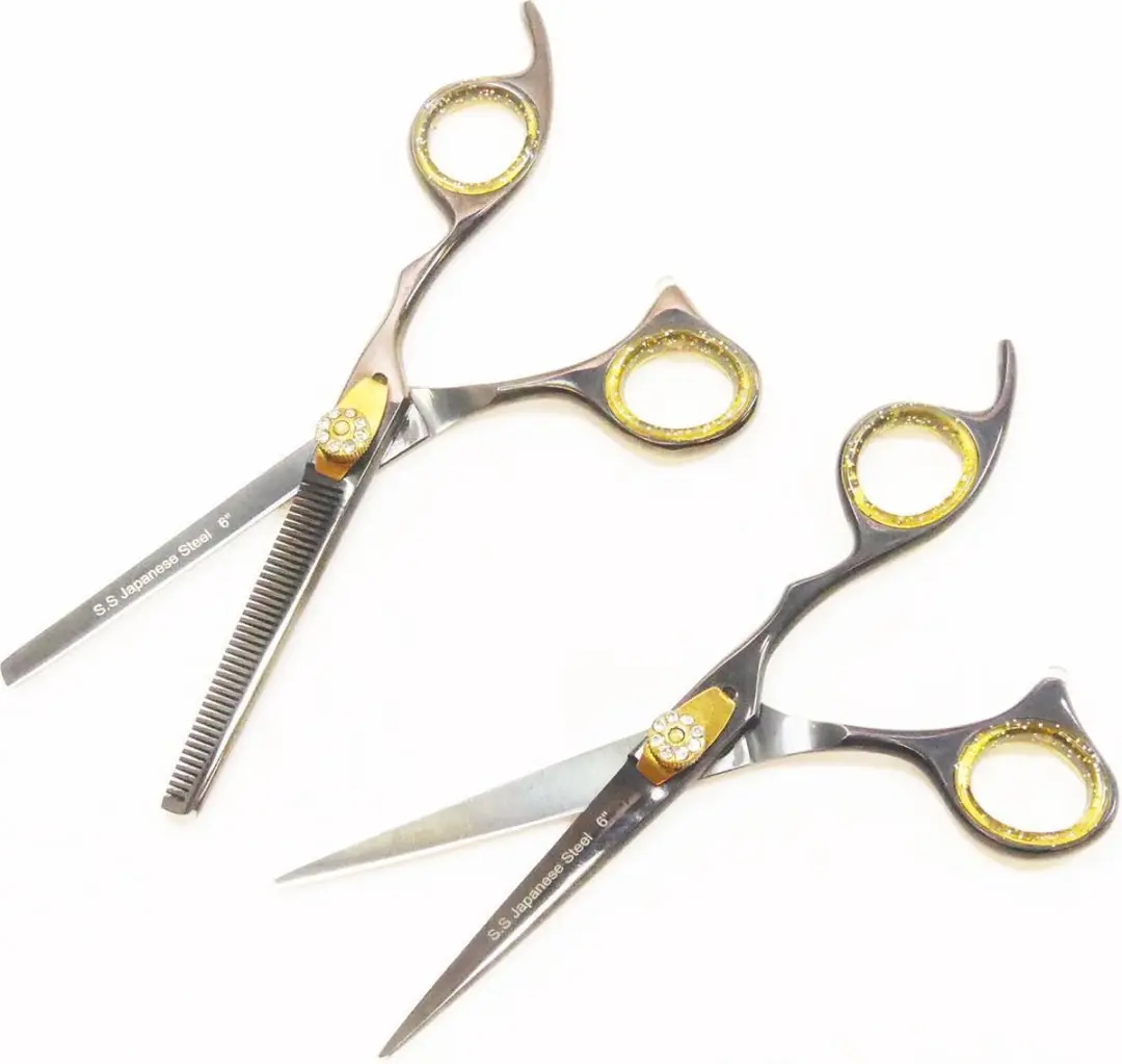 Guardian Beauty Scharenset 6 Inch