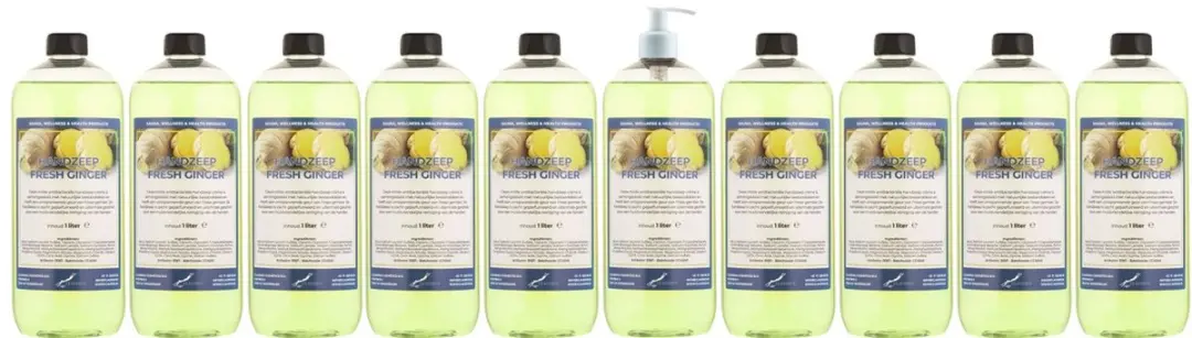 Splashbox Cosmetics Handzeep Fresh Ginger 1L - 10 Stuks
