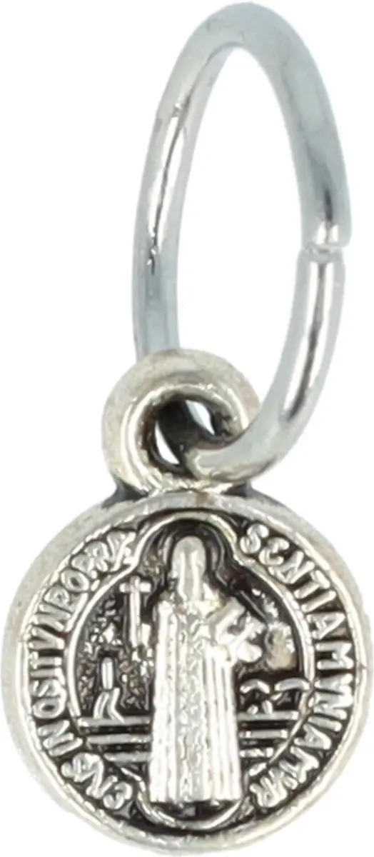 Haarsoires Haarspeld Haarringen 1cm - Zilver - Set van 6
