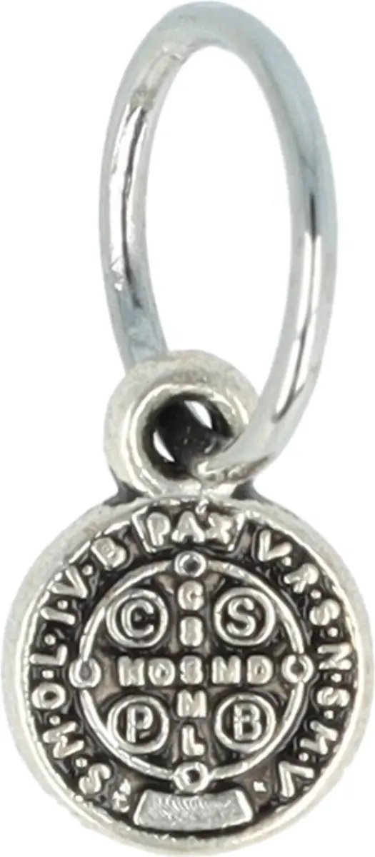 Haarsoires Haarspeld Haarringen 1cm - Zilver - Set van 6