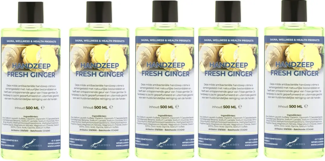 Splashbox Cosmetics Handzeep Fresh Ginger 500ml