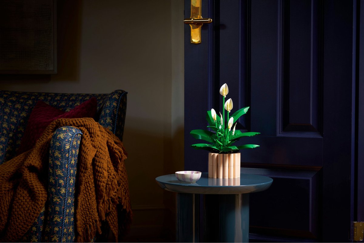 LEGO Botanicals Lepelplant - Bloemen Decoratie Bouwpakket voor Volwassenen - 11504