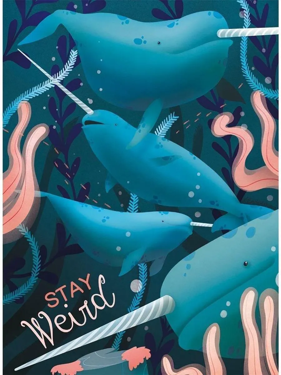 Clementoni Narwals Puzzel 500 Stukjes