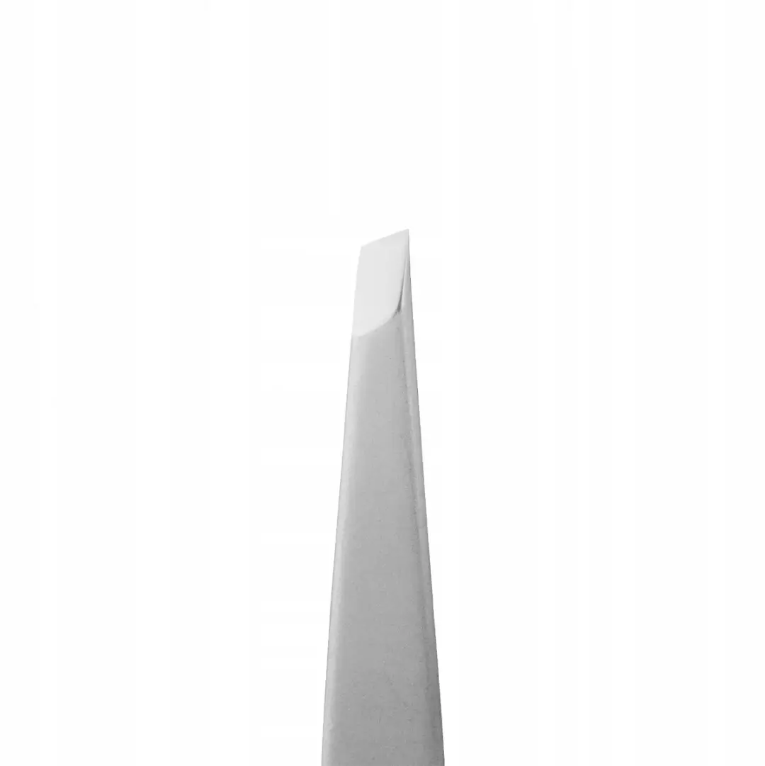 STALEKS Expert Pincet TE-61/4 - Wenkbrauwen - Zilver