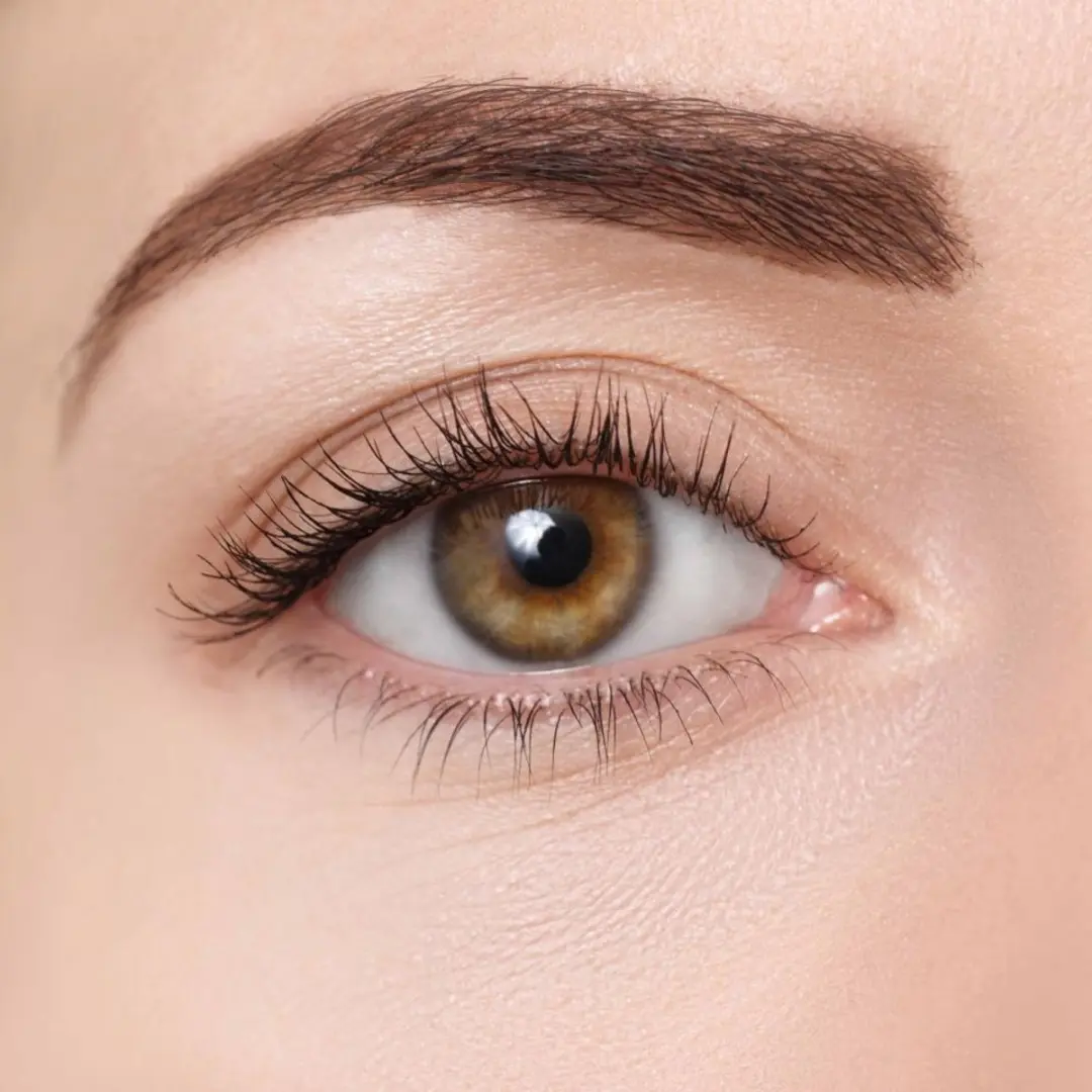 BeMineral Brow Powder HUSK - 1.6g - Bruin