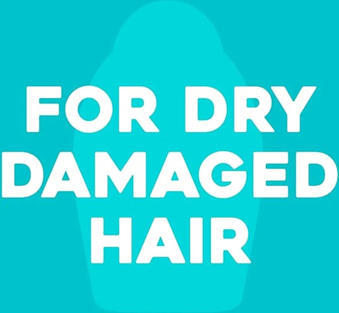 OGX Renewing Argan Oil Shampoo - 6x577ml