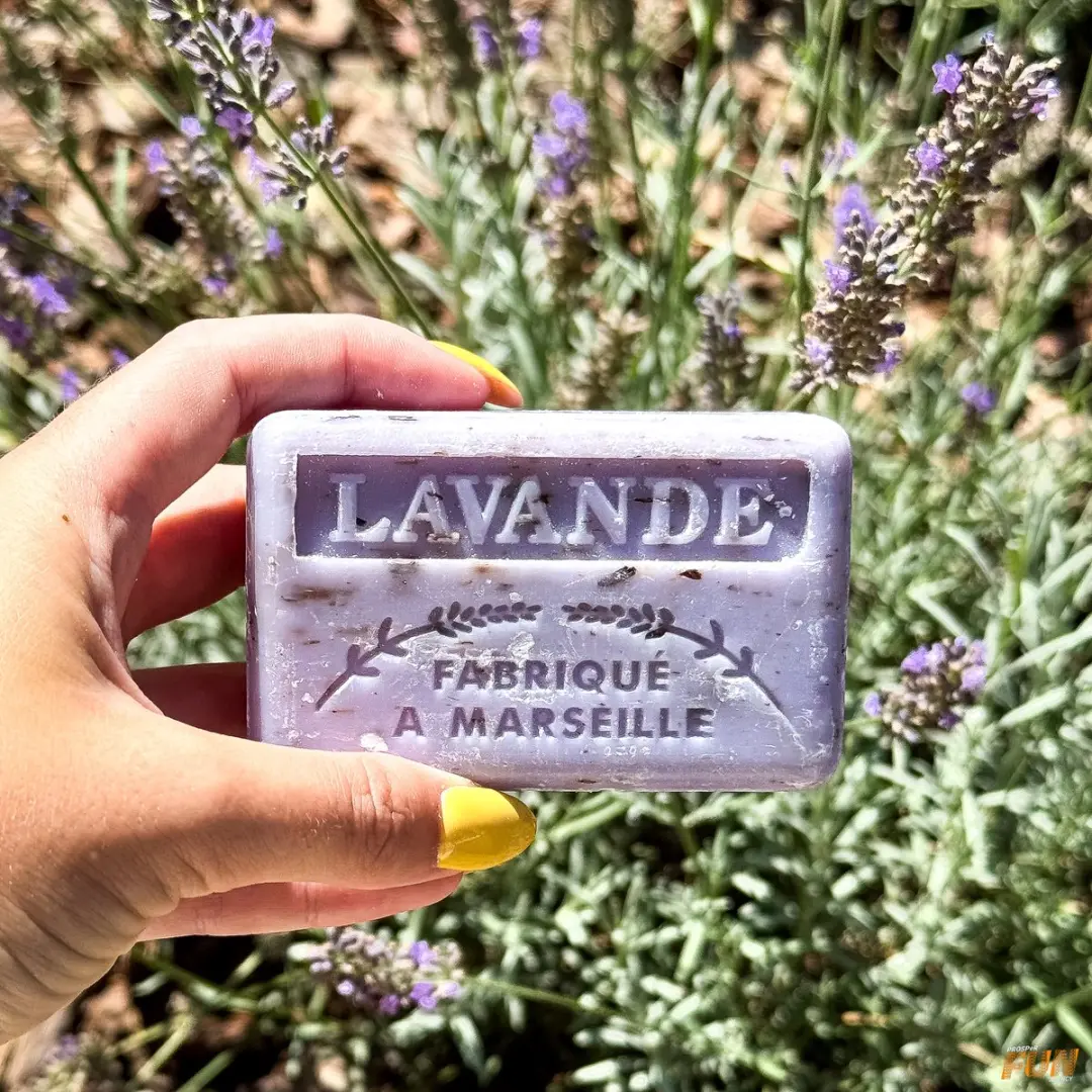 Savon de Marseille Lavendel Scrub Zeep