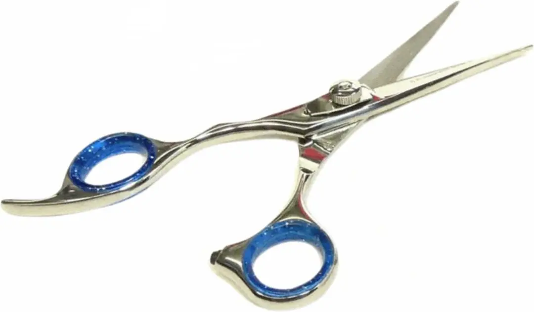Guardian Beauty Scharenset 5,5 Inch - Roestvrij Staal - Linkshandig - 2 Stuks