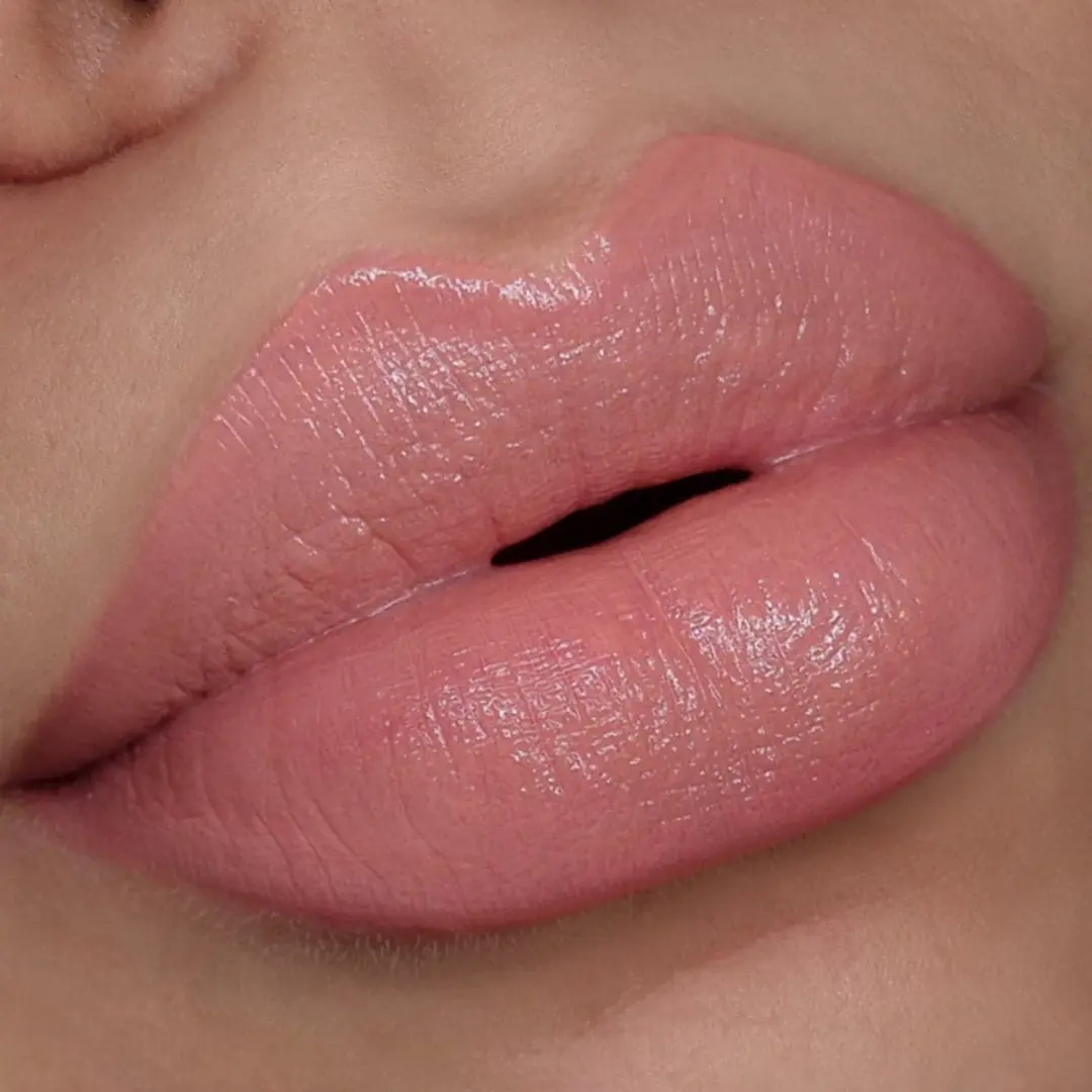 L.A. Girl Pretty & Plump Plumping Lipstick Pout Please