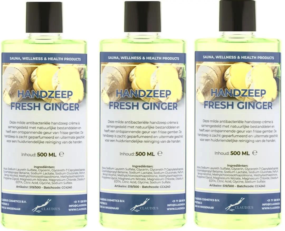 Splashbox Cosmetics Handzeep Fresh Ginger 500ml