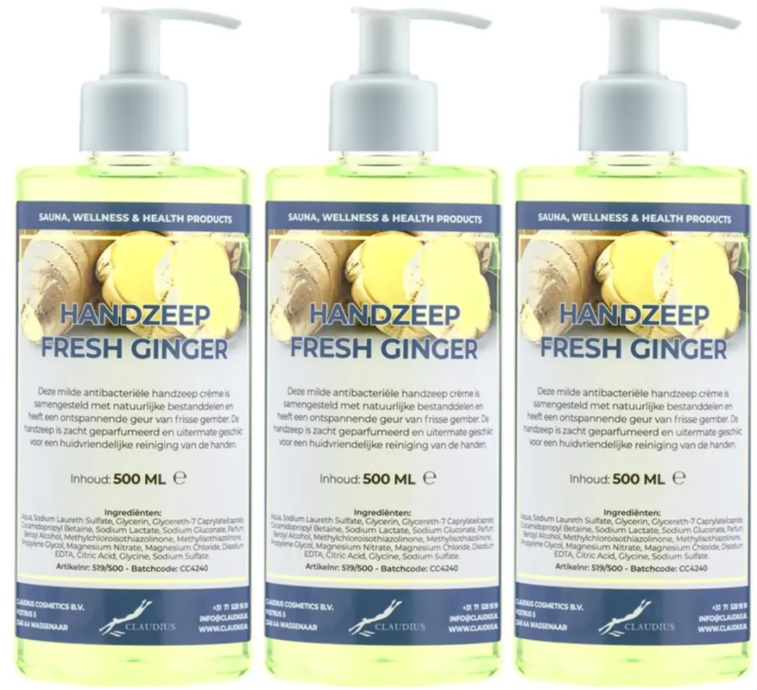 Splashbox Cosmetics Handzeep Fresh Ginger 500ml