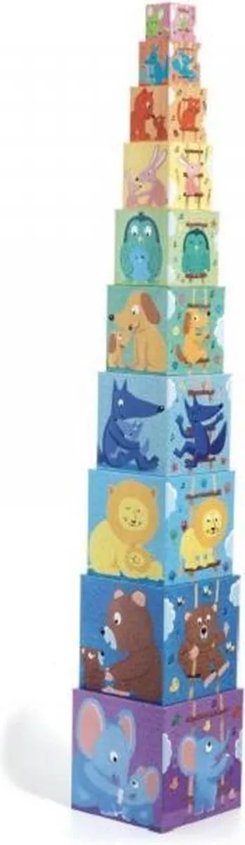 Djeco Rainbow Blocks Houten Blokken - 10 Stuks - Meerkleurig