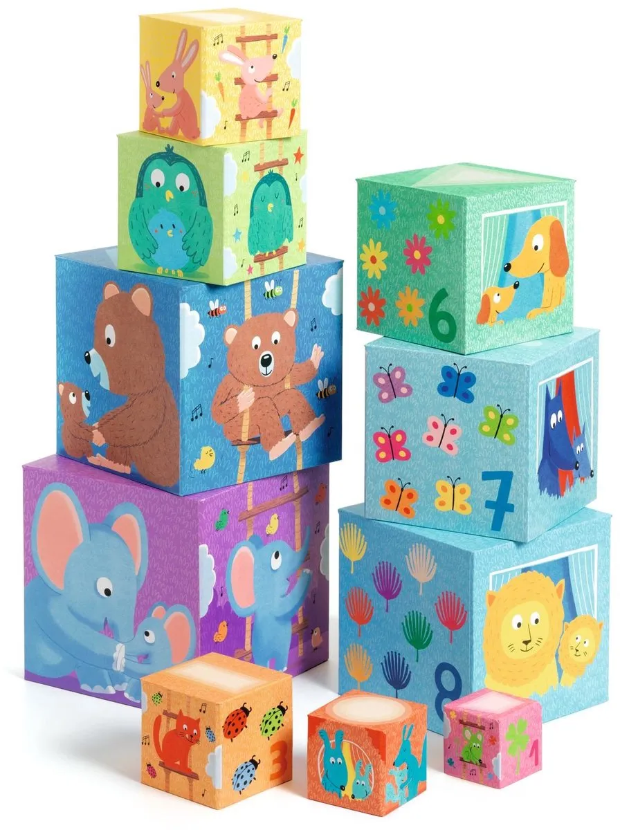 Djeco Rainbow Blocks Houten Blokken