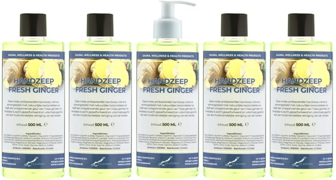 Splashbox Cosmetics Handzeep Fresh Ginger 500ml