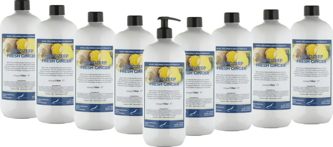 Splashbox Cosmetics Handzeep Fresh Ginger 1L