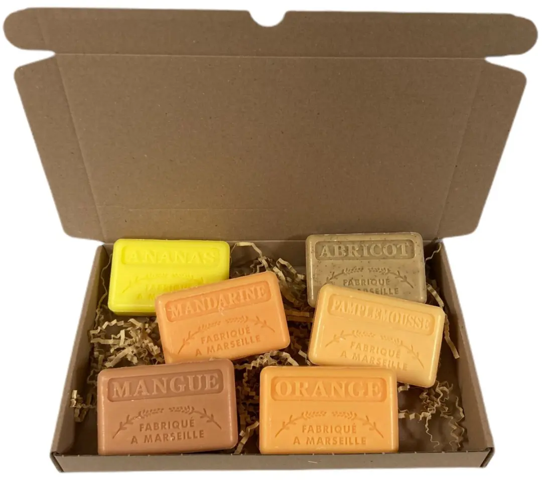 Savon de Marseille Fruitzeeppakket 750g - 6 Stuks