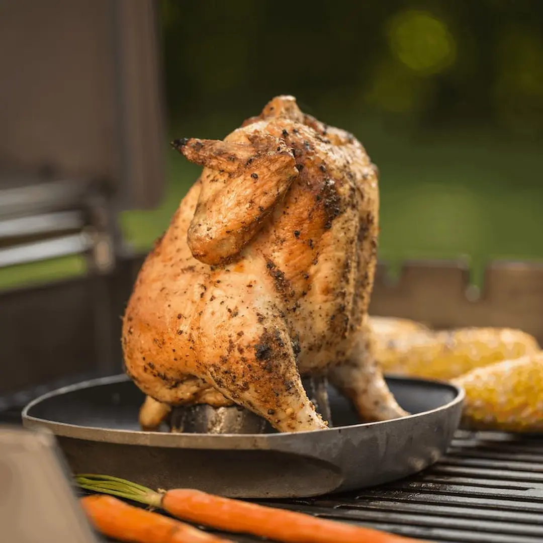 Weber Style CWS Gevogeltestomer - Grijs
