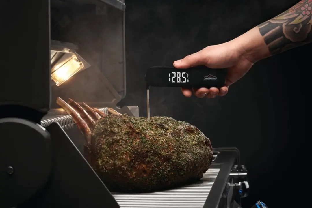 Napoleon Fast Penthermometer - Zwart