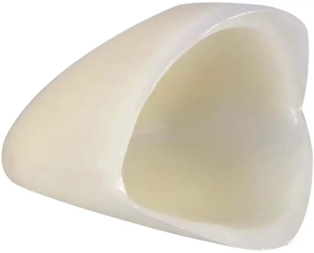 RedParrot Nep Tanden Opzetstukjes - 50 Stuks - Wit