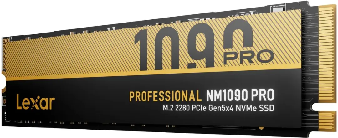 Lexar Professional NM1090 Pro LNM109P004T-RNNNG SSD M.2 2280 - 4TB - Zwart