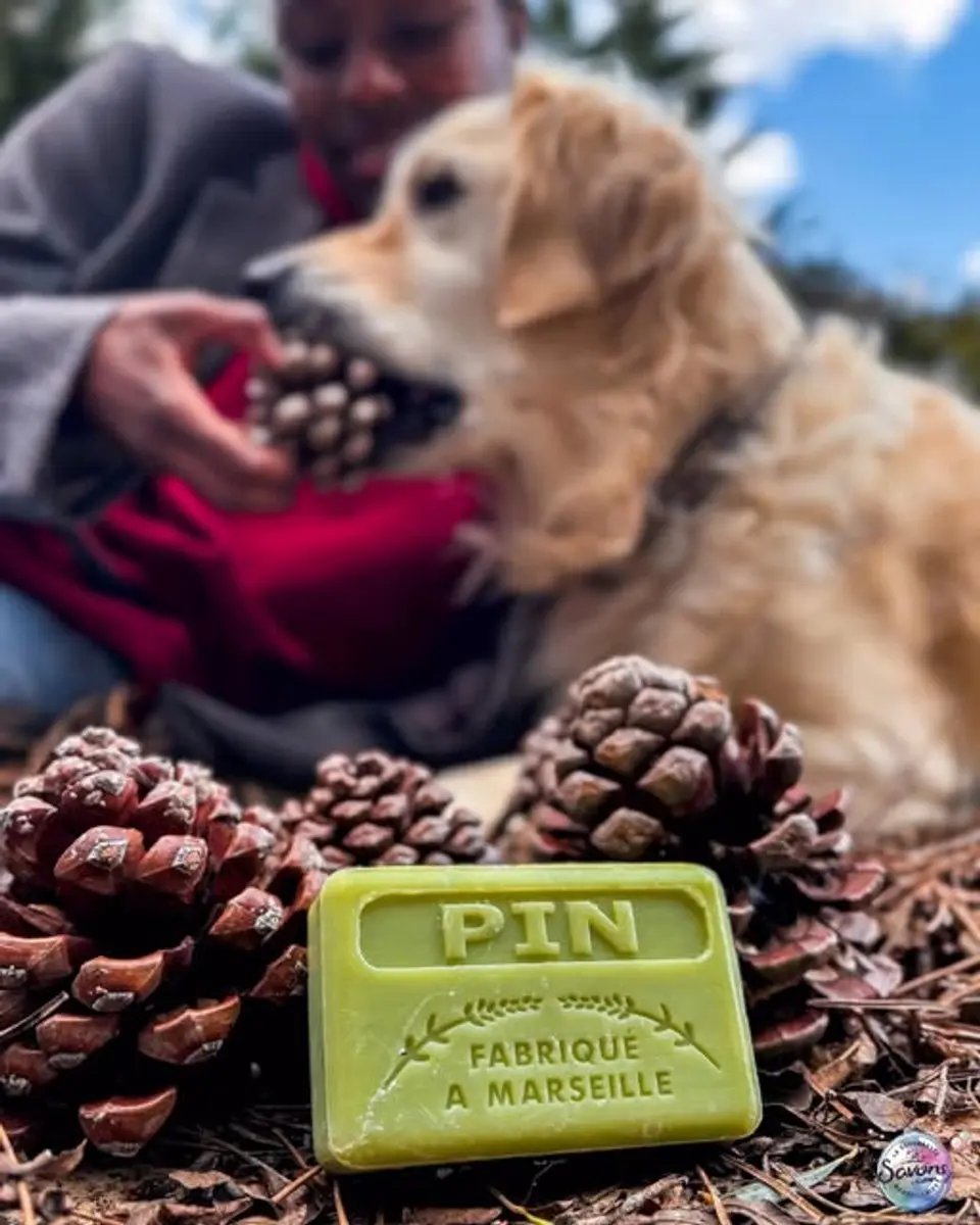 Savon de Marseille Zeep Pin Dennen 125g