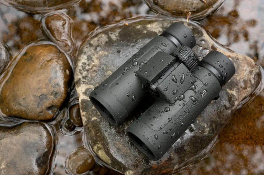 Nikon Prostaff P3 10x42 Verrekijker - Zwart