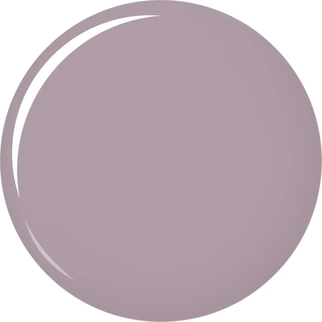 Sally Hansen Complete Salon Manicure 370 Commander in Chic