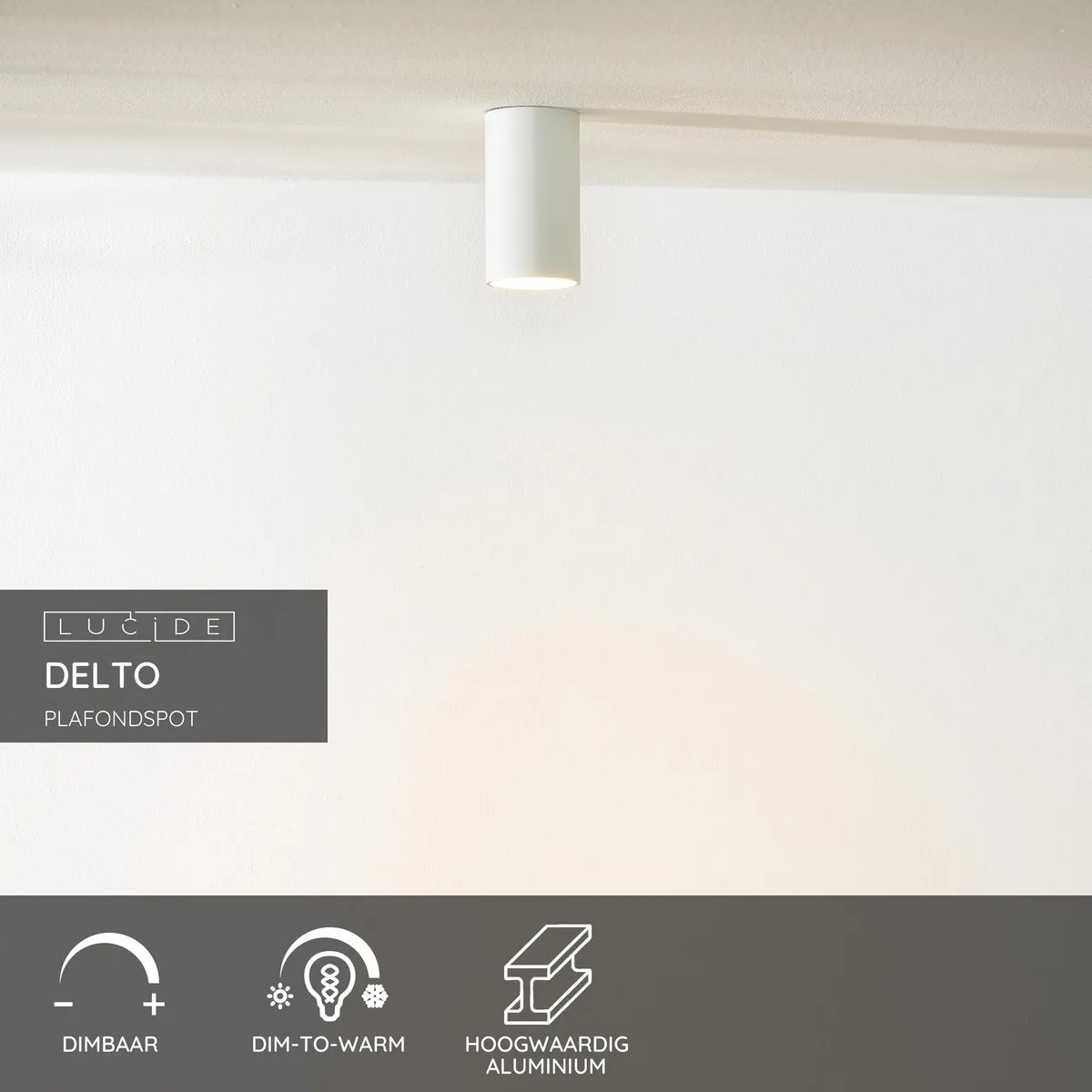 Lucide DELTO Plafondspot Ø5,5cm - LED Dim to Warm 2200K/3000K - GU10 - Wit
