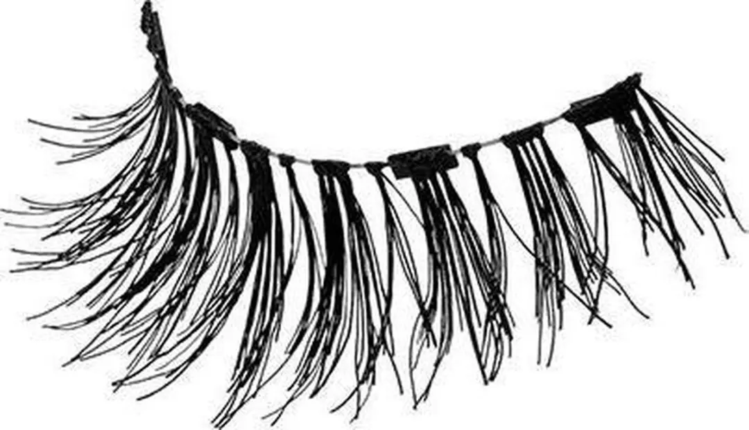 Ardell Magnetic Lashes Double Demi Wispies - Zwart
