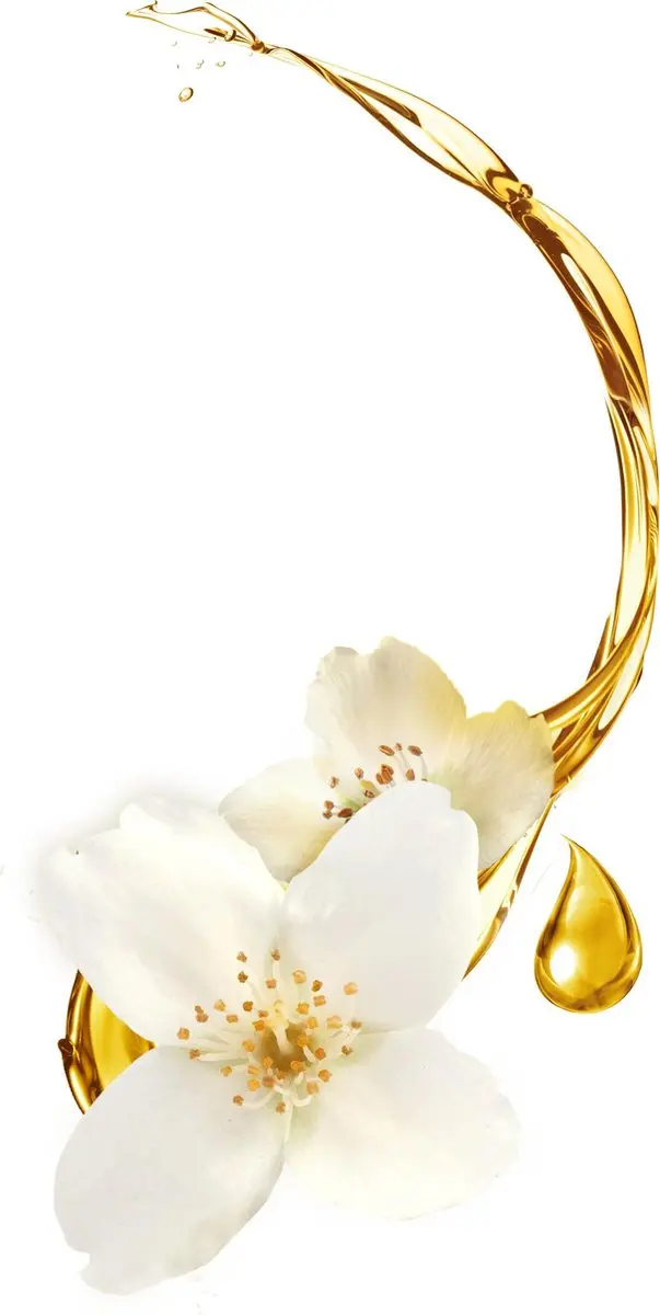 Timotei Precious Oil Shampoo 0% Paraben - 6x300ml