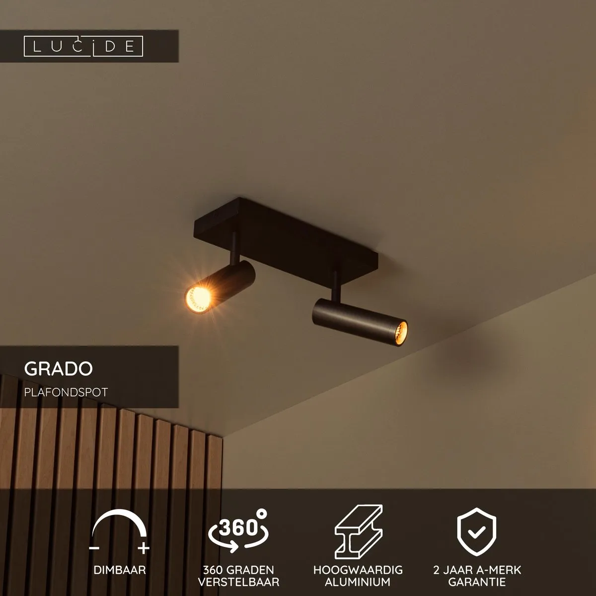 Lucide GRADO Plafondspot 2xGU10 Grijs ijzer