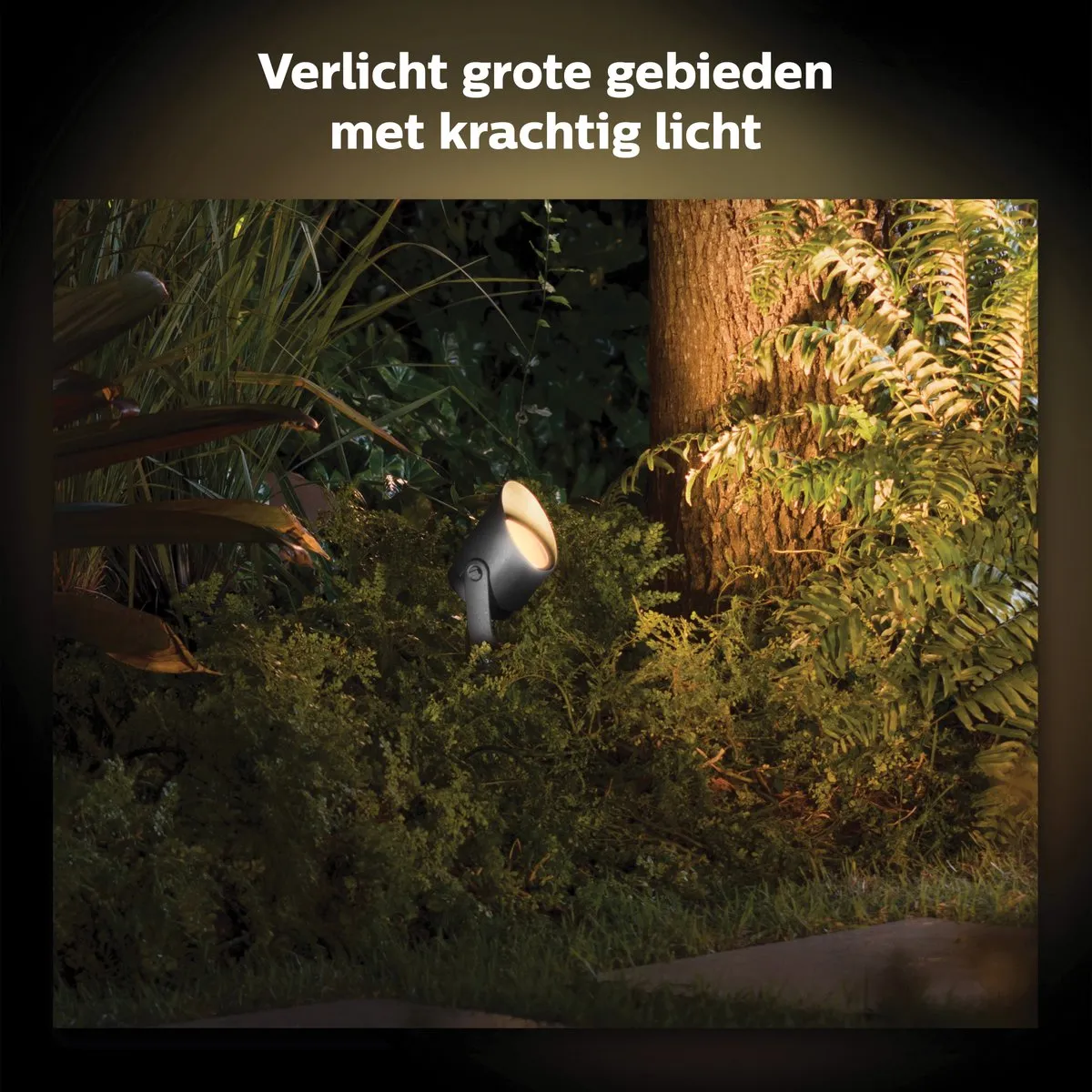 Philips Hue Lily XL Tuinspot - Multicolor - Zwart