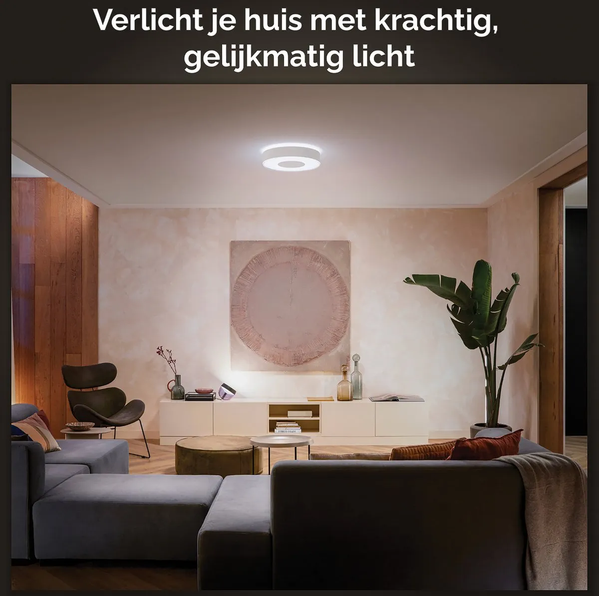 Philips Hue Infuse Plafondlamp 38cm - RGBW Wit - afbeelding 6 van 6